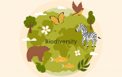 Światowy Dzień Różnorodności Biologicznej