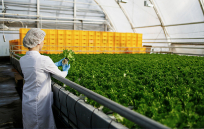 Traceability – co to jest?